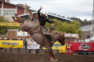 puyallup fair