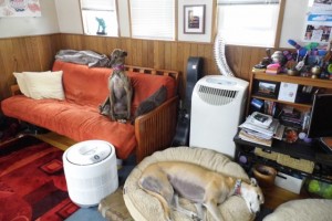 olympia houseboats