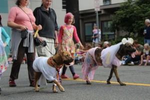 olympia pet parade 2013 - 13