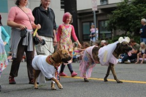 olympia pet parade 2013 - 13