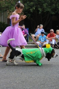 olympia pet parade 2013 - 24