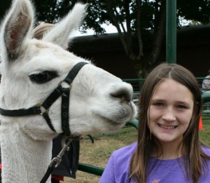 thurston county fair 4h featured