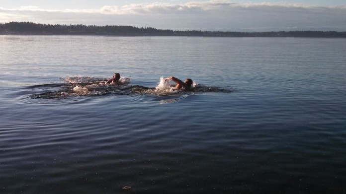 budd inlet swim