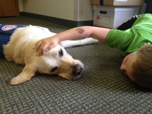 courthouse dog olympia