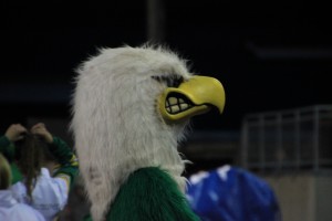 Senior quarterback, Jayden Croft, is appreciative of the fan support for the Tumwater football team.