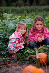 olympia pumpkin patches