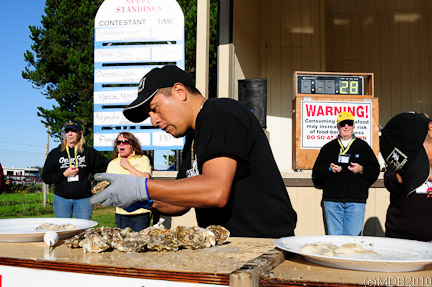 oysterfest oyster shucker shelton oysterfest