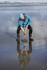 razor clam dig