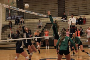 olympia tumwater volleyball