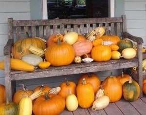 pumpkin recipes