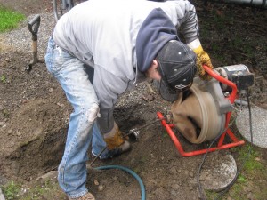 Olympic plumbing