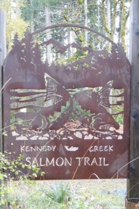 kennedy creek salmon trail