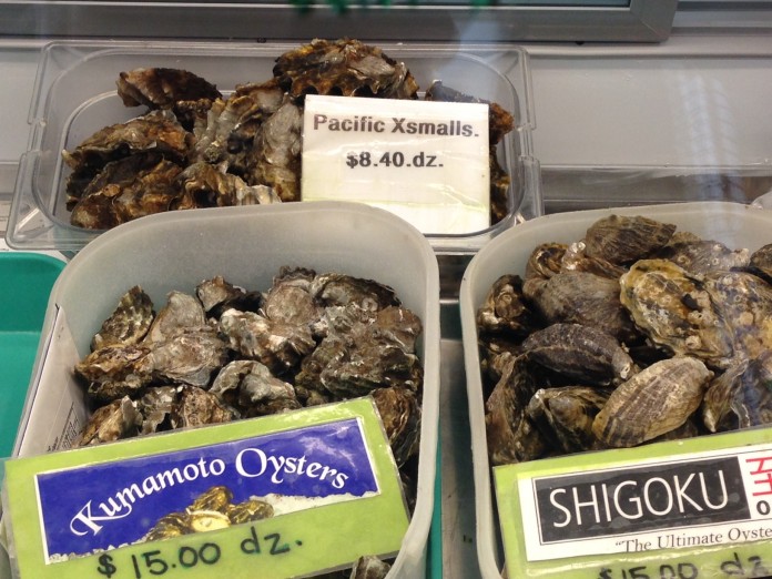 taylor shellfish