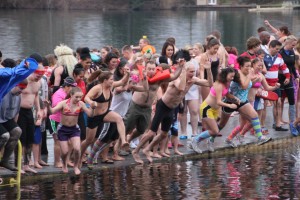 polar bear plunge