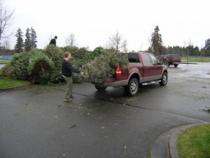 lacey christmas tree recycling