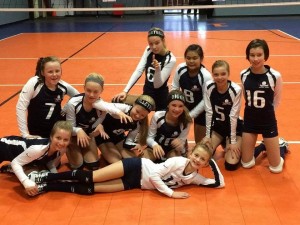 olympia youth volleyball