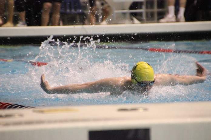 timberline boys swimming