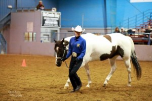 rochester equestrian