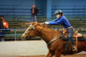 rochester equestrian