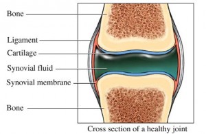 eastside chiro