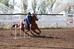 rochester equestrian