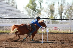 rochester equestrian