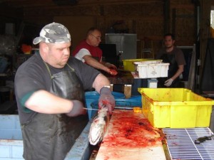 More than 640 volunteers assisted Shorb last year with his food bank.