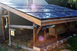South Sound Solar-Chicken Coop