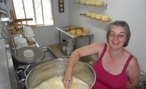 olympia cheese producer