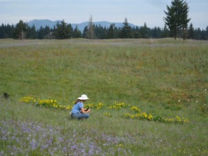 prairie appreciation day