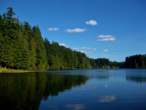 millersylvania state park