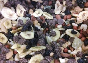 snacks gorp fruit nut