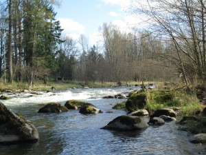 nisqually land trust