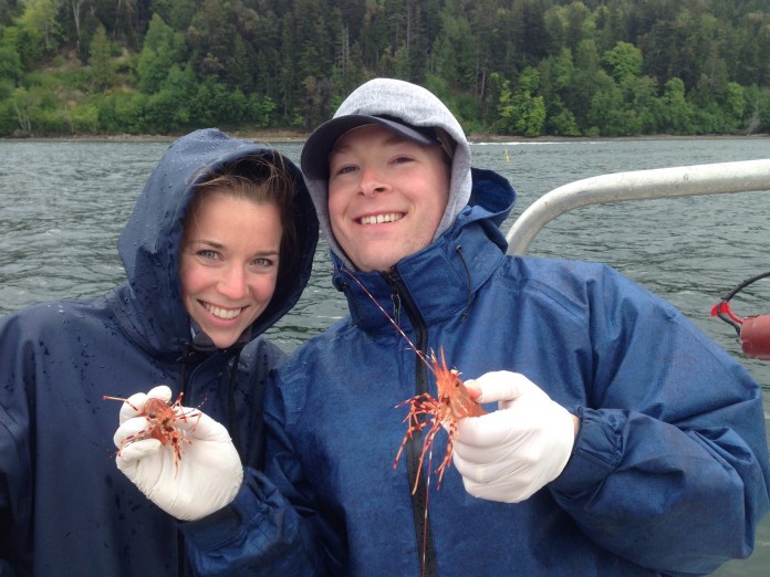 shrimp hood canal