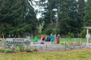 food bank school garden