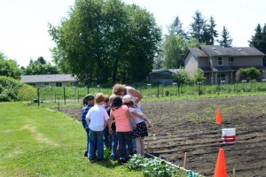 food bank school garden