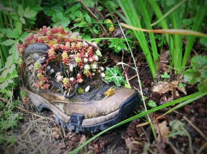 upcycle gardening