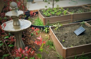 solar gardening