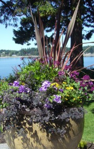 planter box gardening