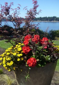 planter box gardening