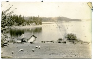 olympia history