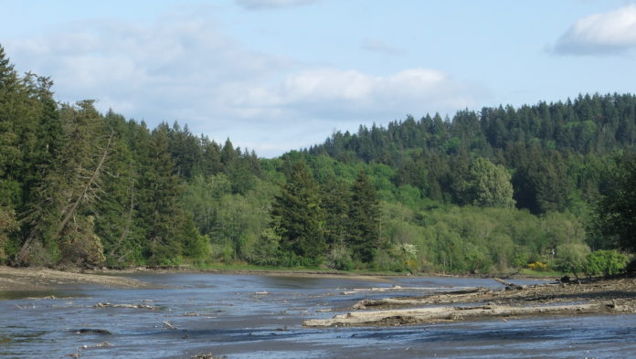 Steamboat Island article - Mud Bay Inlet steamboat island
