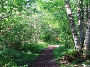 hiking trails olympia