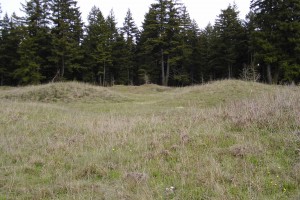 mima mounds