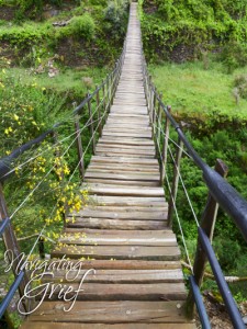 Navigating Grief Bridge The grief journey can be like stepping onto a suspension bridge: scary, shaky, lonely. But with encouragement, support and conscious action, you can make it through.