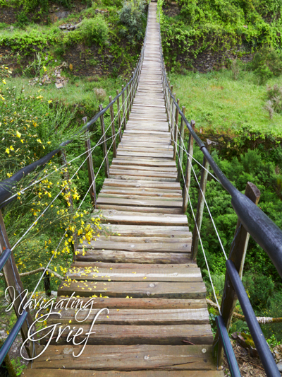 suspension-bridge-NG