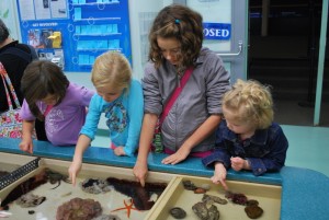 See the animals and let the kids play at Point Defiance Zoo and Aquarium.