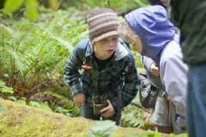 junior park ranger olympia