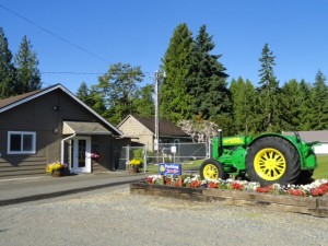 olympia dog daycare