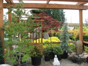 olympia gardening nursery